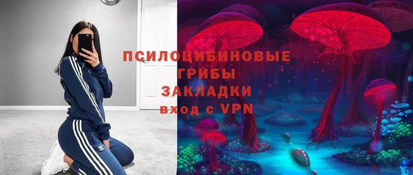 ALPHA PVP Куйбышев