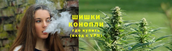 дживик Кукмор